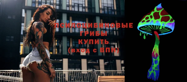 молекула духа Беломорск